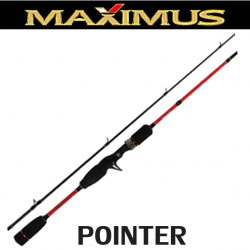 Maximus Pointer Casting