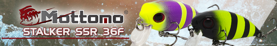 Mottomo Stalker SSR 36F 