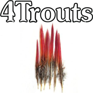 4Trouts Красноверхие перья фазана
