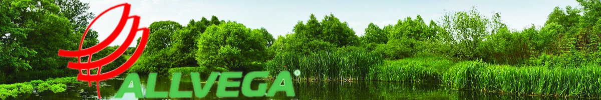 Allvega