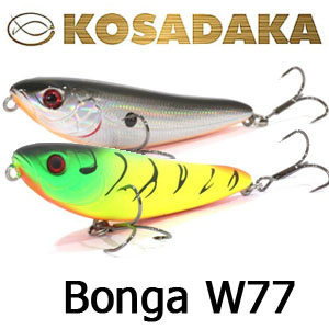 Kosadaka Bonga W77