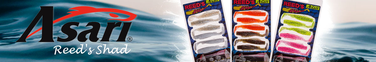 Asari Reed's Shad
