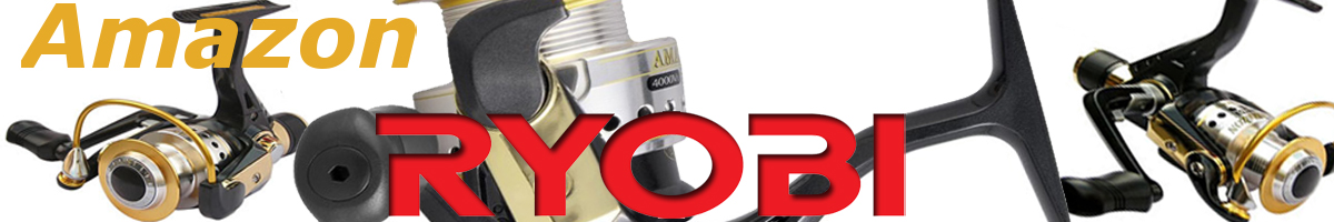 Ryobi Amazon
