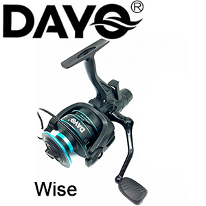 Dayo Wise