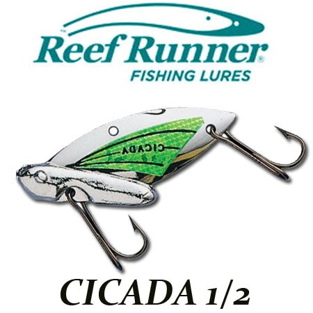 Reef Runner Cicada 1/2