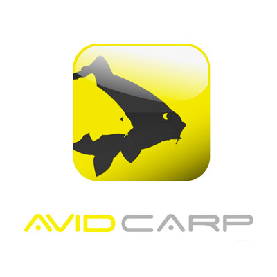 Avid Carp