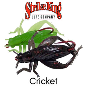 Strike King Cricket
