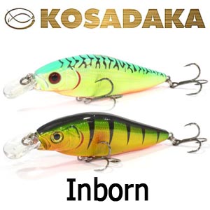 Kosadaka Inborn
