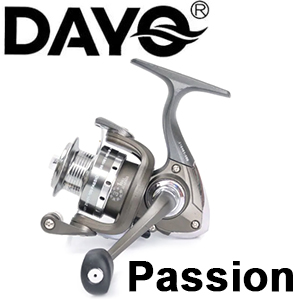 Dayo Passion