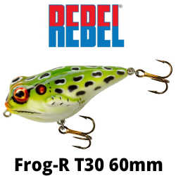 Rebel Frog-R T30