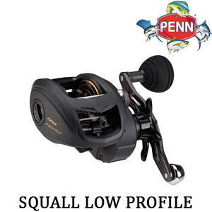 Penn Squall Low Profile