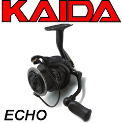 Kaida Echo