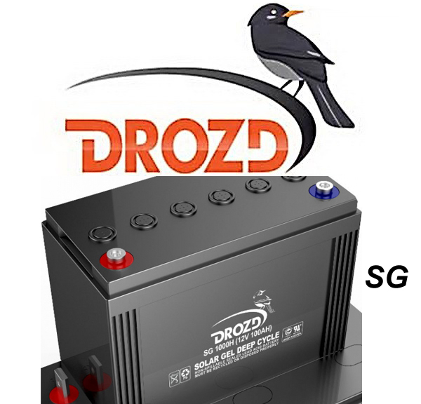 Drozd SG