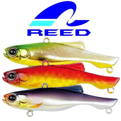 Reed