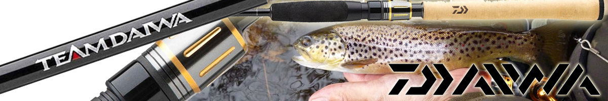 Daiwa TD Trout Spin