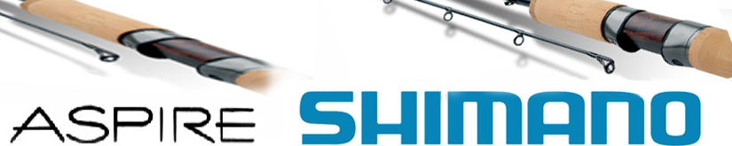Shimano Aspire AX