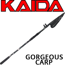 Kaida Gorgeous Carp