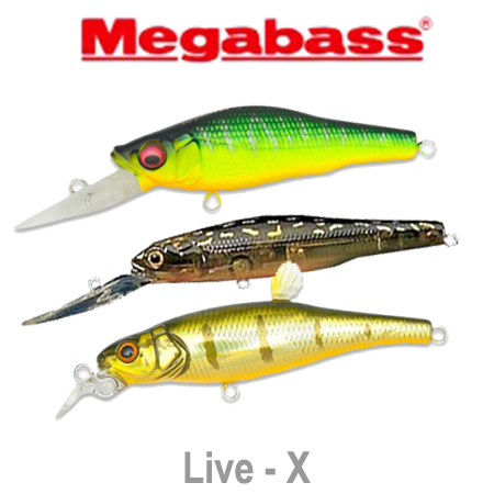Megabass Live-X
