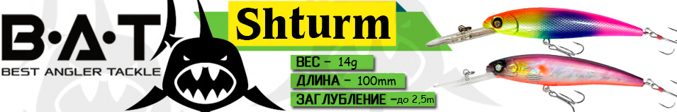 BAT Shturm BT065