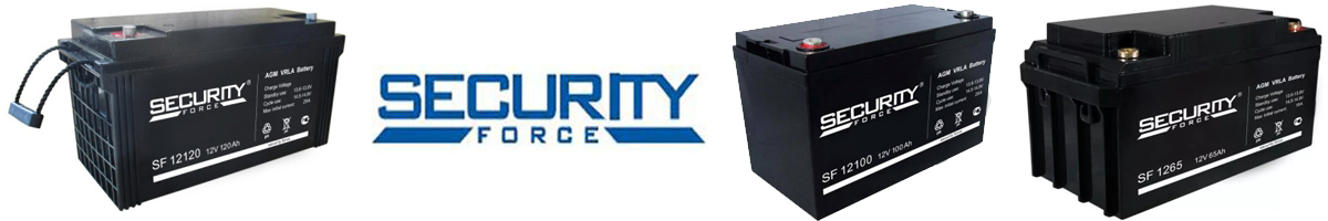 Security Force