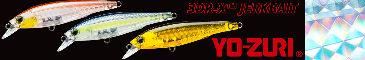 Yo-Zuri 3DR-X Jerkbait 80F R1436