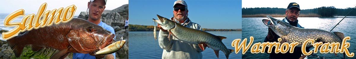 Salmo Warrior Crank 150S