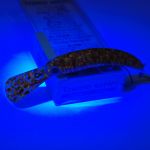 Воблер Mukai Tremo Long 55SS 55мм 3,3гр. цвет #448