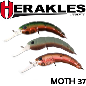 Herakles Moth 37