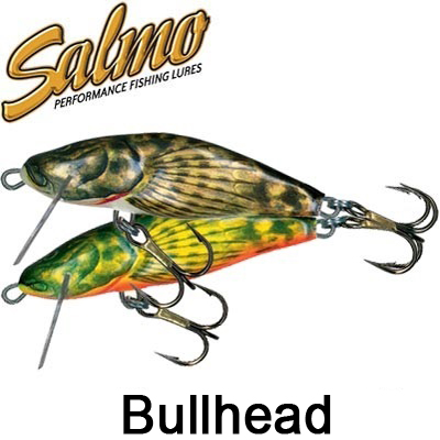 Salmo Bullhead