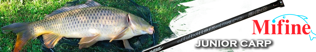 Mifine Junior Carp