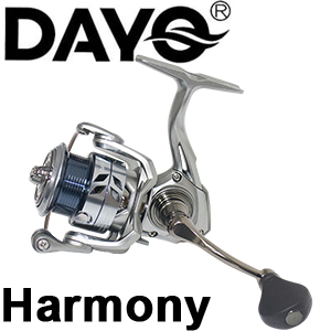 Dayo Harmony