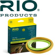 Rio Percepction