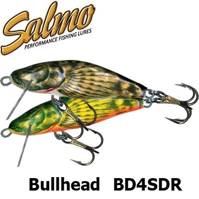 Salmo Bullhead BD4SDR
