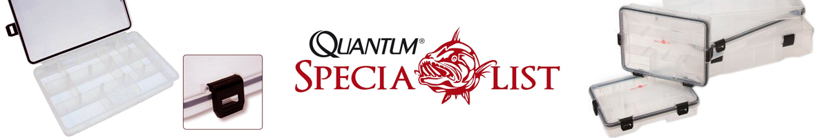 Quantum