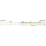 Шнур нахлыстовый Rio Power Spey VersiTip Fly Lines(A) 10/11