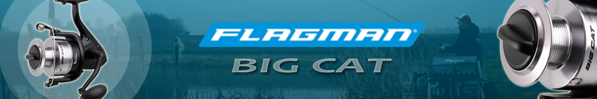 F-Fishing Big Cat
