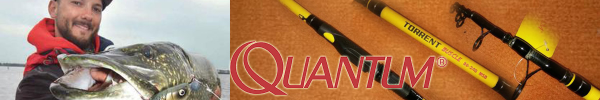 Quantum