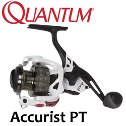 Quantum Accurist PT