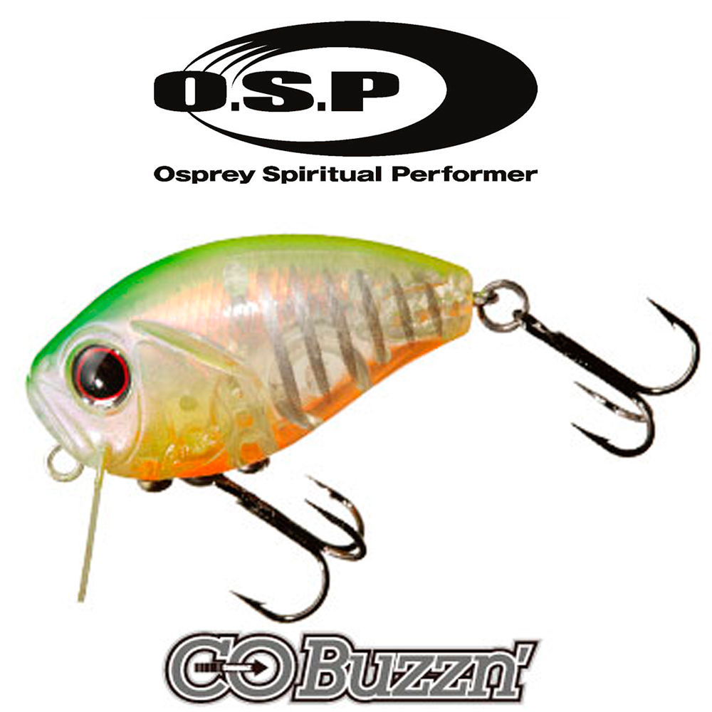 OSP Co-Buzz'n 40