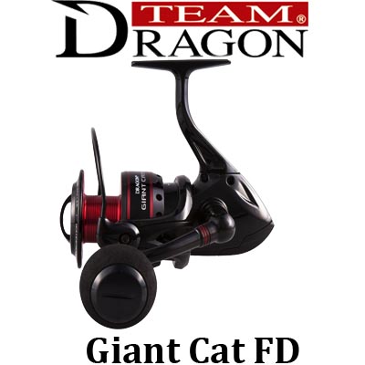 Dragon Giant Cat FD
