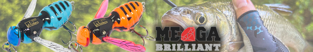 Mega Brilliant Mother Of Bees 40mm