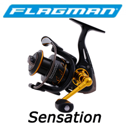 Flagman Sensation