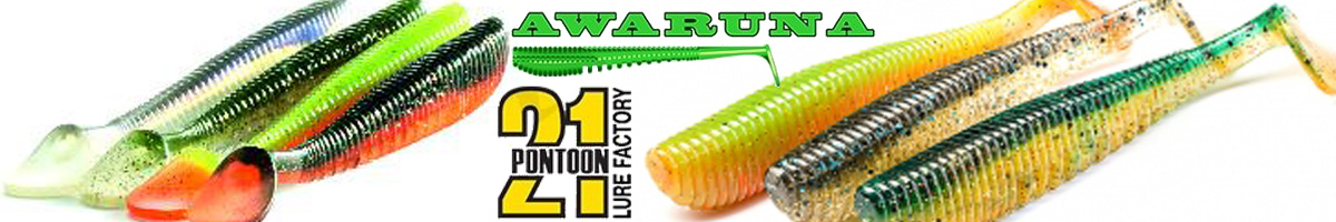 Pontoon 21 Awaruna 3.5