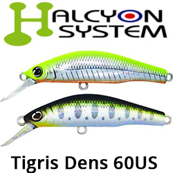Halcyon System Dens 60 US