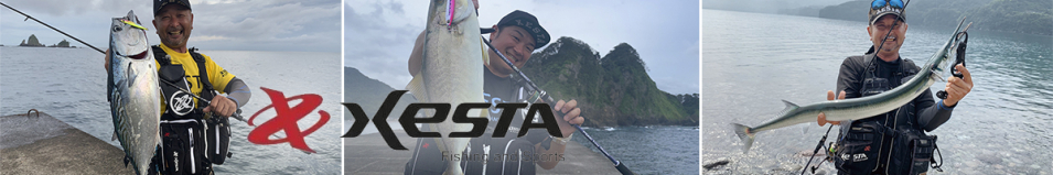 Xesta