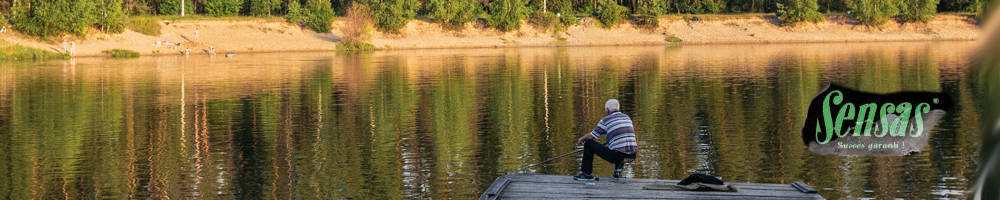 Sensas Crazy Bait Squirts Double 0.25л