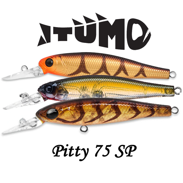 Itumo Pitty 75SP 