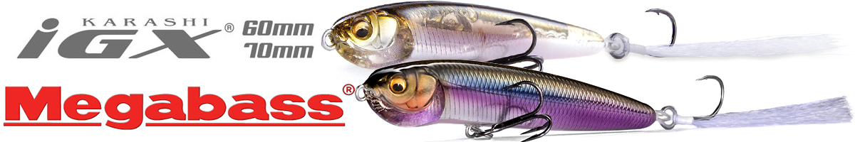 Megabass Karashi IGX 70S