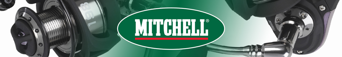 Mitchell 198