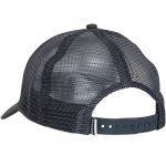 Кепка Simms Trout Icon Trucker, Carbon